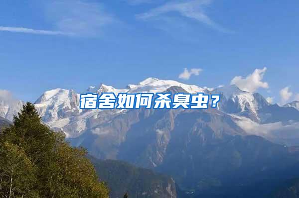 宿舍如何杀臭虫？