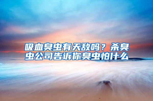 吸血臭虫有天敌吗？杀臭虫公司告诉你臭虫怕什么