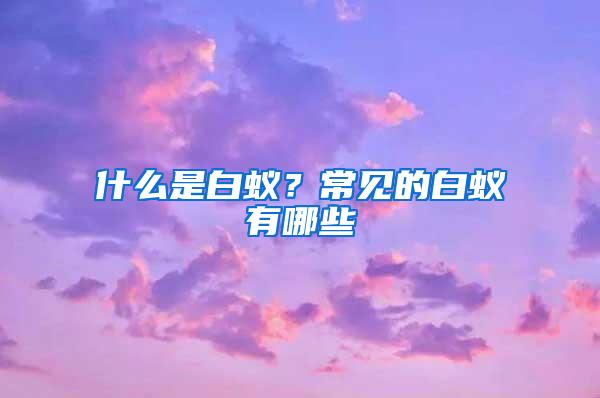 什么是白蚁？常见的白蚁有哪些