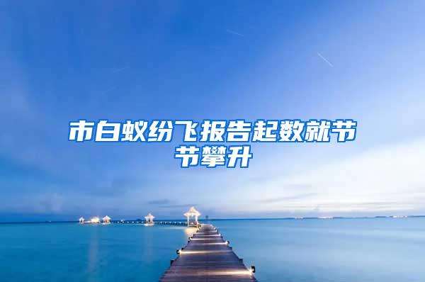 市白蚁纷飞报告起数就节节攀升