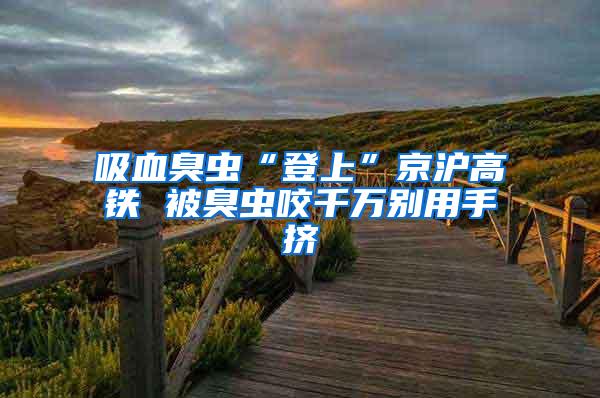 吸血臭虫“登上”京沪高铁 被臭虫咬千万别用手挤