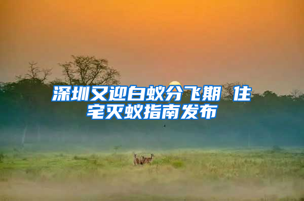 深圳又迎白蚁分飞期 住宅灭蚁指南发布