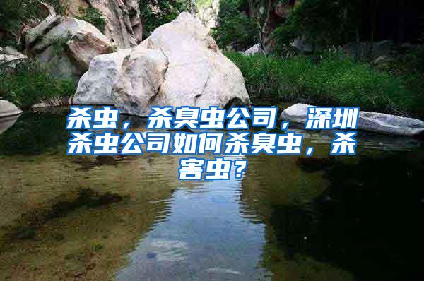 杀虫，杀臭虫公司，深圳杀虫公司如何杀臭虫，杀害虫？