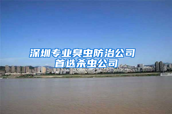 深圳专业臭虫防治公司 首选杀虫公司