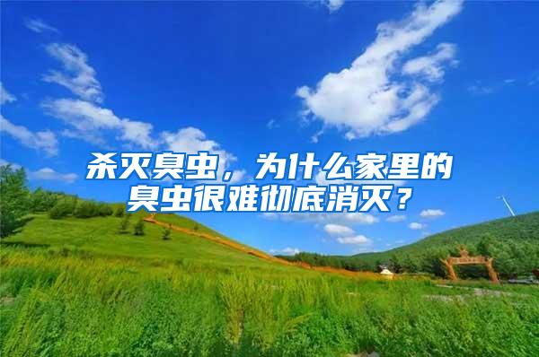 杀灭臭虫，为什么家里的臭虫很难彻底消灭？