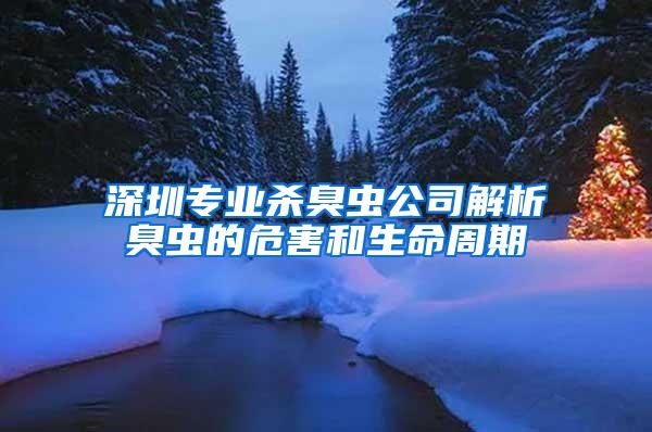 深圳专业杀臭虫公司解析臭虫的危害和生命周期