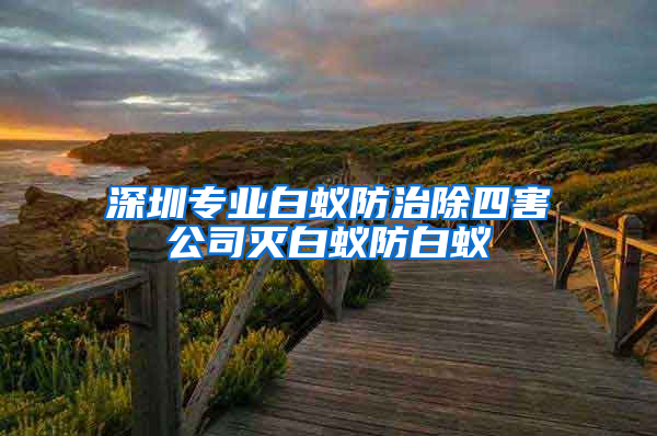 深圳专业白蚁防治除四害公司灭白蚁防白蚁