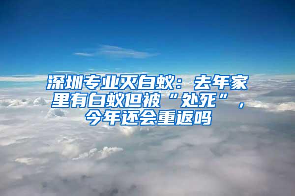 深圳专业灭白蚁：去年家里有白蚁但被“处死”，今年还会重返吗
