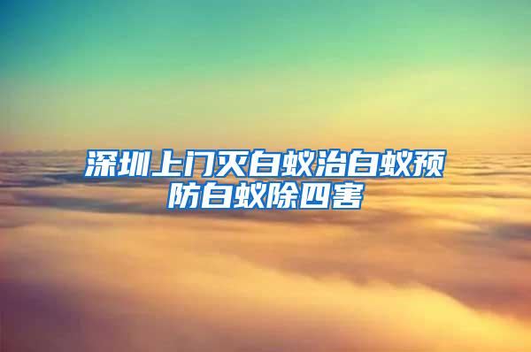 深圳上门灭白蚁治白蚁预防白蚁除四害