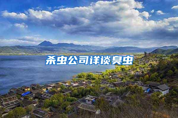 杀虫公司详谈臭虫