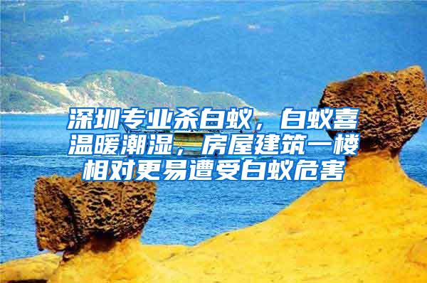 深圳专业杀白蚁，白蚁喜温暖潮湿，房屋建筑一楼相对更易遭受白蚁危害