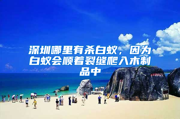 深圳哪里有杀白蚁，因为白蚁会顺着裂缝爬入木制品中