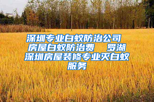 深圳专业白蚁防治公司 房屋白蚁防治费  罗湖深圳房屋装修专业灭白蚁服务