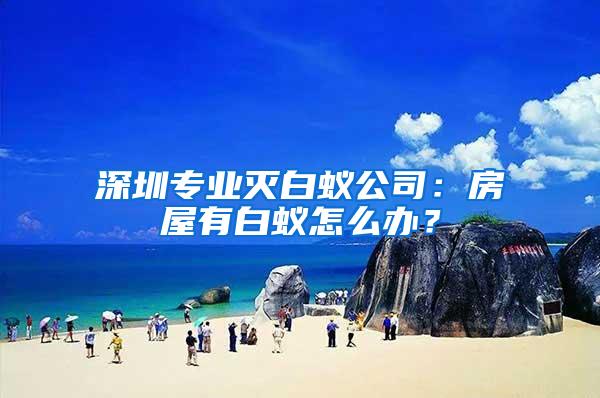 深圳专业灭白蚁公司：房屋有白蚁怎么办？