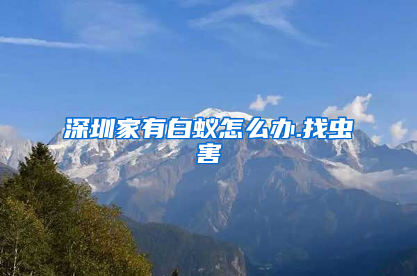深圳家有白蚁怎么办.找虫害