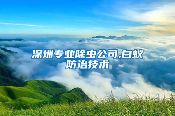 深圳专业除虫公司,白蚁防治技术