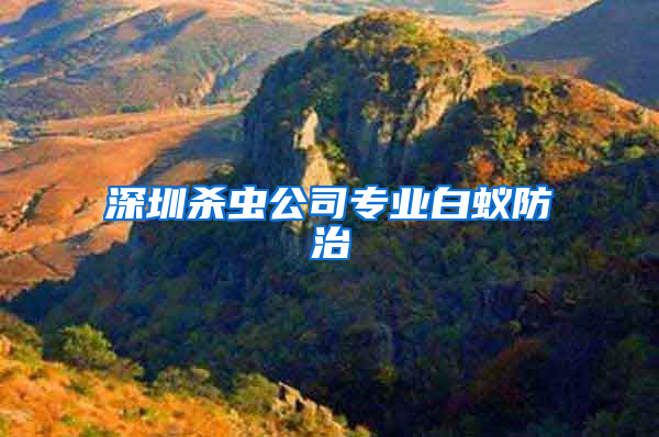深圳杀虫公司专业白蚁防治