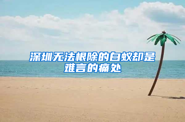 深圳无法根除的白蚁却是难言的痛处