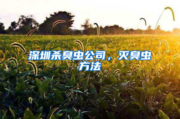 深圳杀臭虫公司，灭臭虫方法