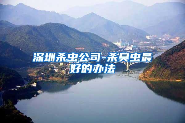 深圳杀虫公司-杀臭虫最好的办法