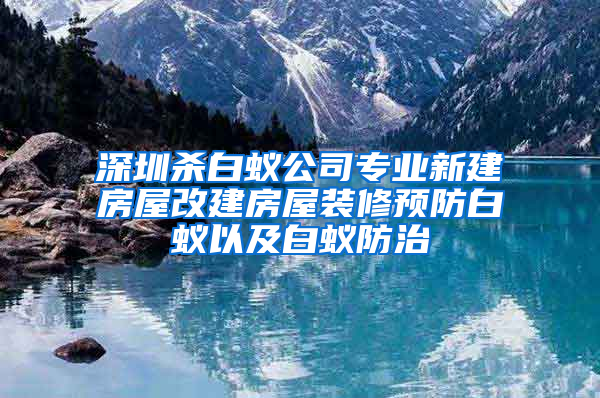 深圳杀白蚁公司专业新建房屋改建房屋装修预防白蚁以及白蚁防治