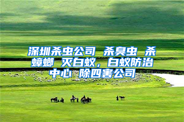 深圳杀虫公司 杀臭虫 杀蟑螂 灭白蚁，白蚁防治中心 除四害公司