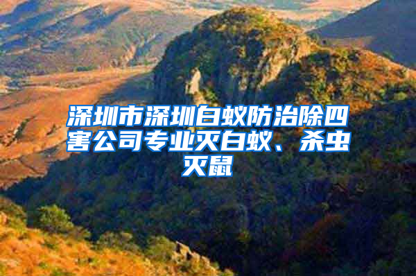 深圳市深圳白蚁防治除四害公司专业灭白蚁、杀虫灭鼠