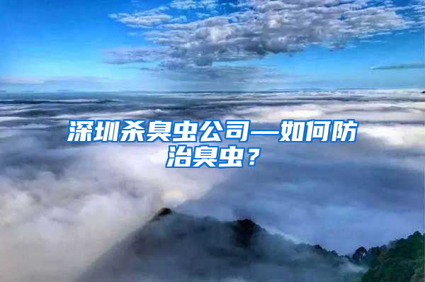深圳杀臭虫公司—如何防治臭虫？