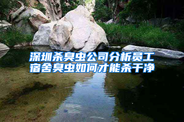 深圳杀臭虫公司分析员工宿舍臭虫如何才能杀干净