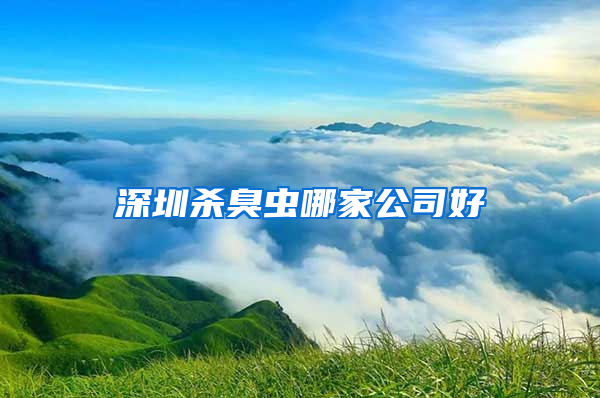 深圳杀臭虫哪家公司好