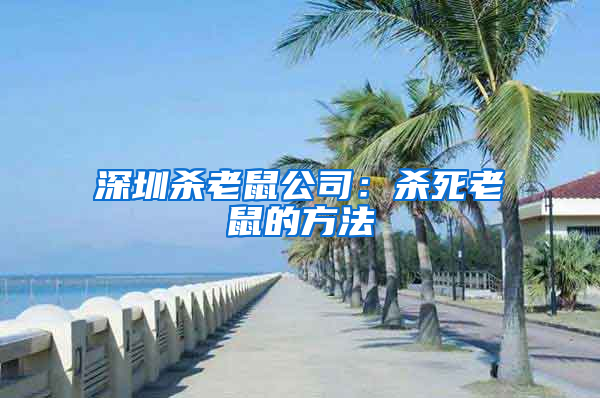 深圳杀老鼠公司：杀死老鼠的方法
