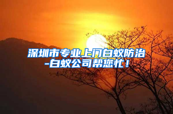 深圳市专业上门白蚁防治-白蚁公司帮您忙！