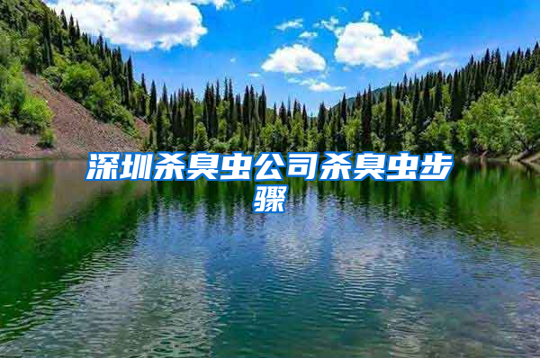 深圳杀臭虫公司杀臭虫步骤