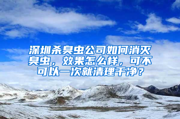 深圳杀臭虫公司如何消灭臭虫，效果怎么样，可不可以一次就清理干净？