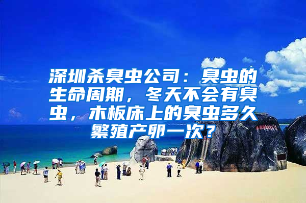 深圳杀臭虫公司：臭虫的生命周期，冬天不会有臭虫，木板床上的臭虫多久繁殖产卵一次？