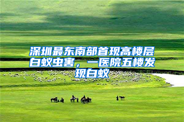 深圳最东南部首现高楼层白蚁虫害，一医院五楼发现白蚁