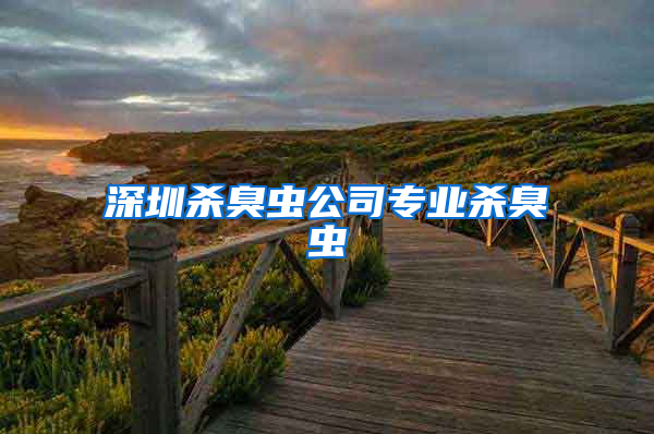 深圳杀臭虫公司专业杀臭虫
