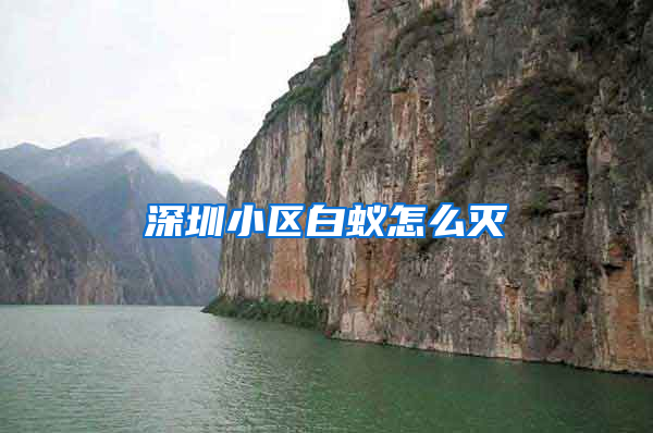 深圳小区白蚁怎么灭