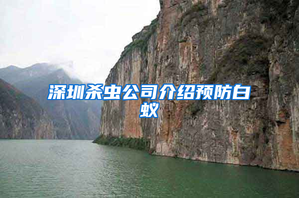 深圳杀虫公司介绍预防白蚁