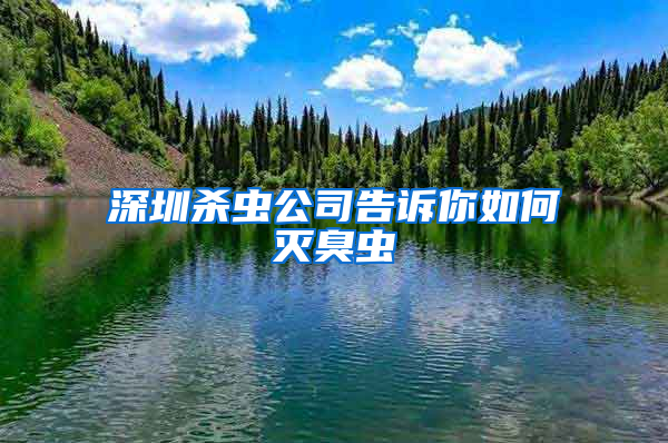 深圳杀虫公司告诉你如何灭臭虫
