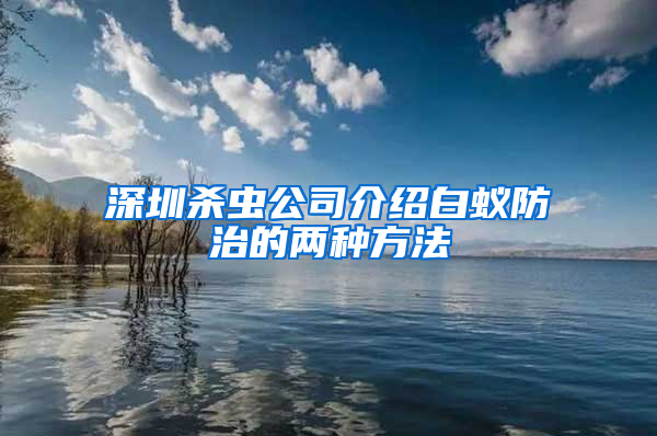深圳杀虫公司介绍白蚁防治的两种方法
