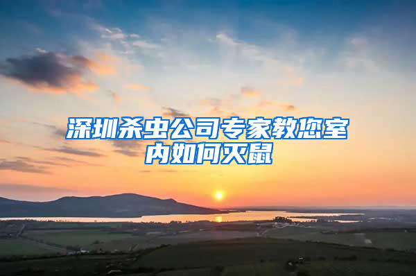 深圳杀虫公司专家教您室内如何灭鼠