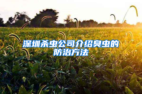 深圳杀虫公司介绍臭虫的防治方法