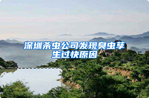 深圳杀虫公司发现臭虫孳生过快原因