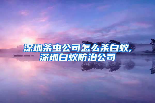 深圳杀虫公司怎么杀白蚁,深圳白蚁防治公司
