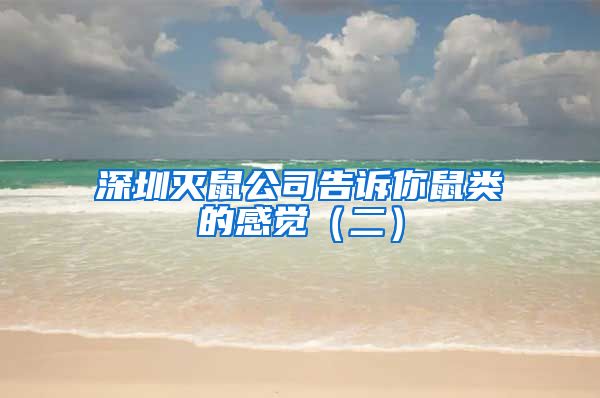 深圳灭鼠公司告诉你鼠类的感觉（二）