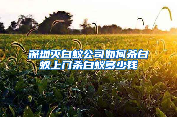 深圳灭白蚁公司如何杀白蚁上门杀白蚁多少钱