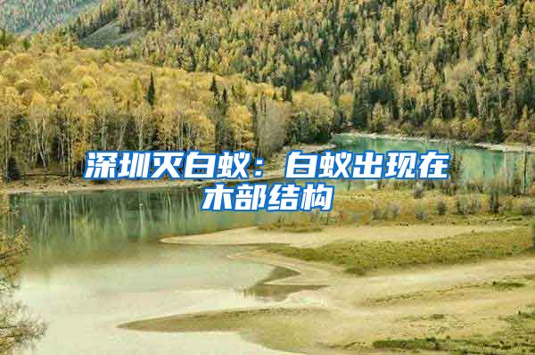 深圳灭白蚁：白蚁出现在木部结构