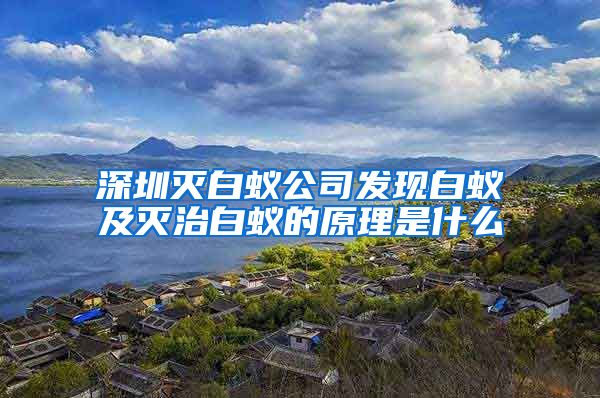 深圳灭白蚁公司发现白蚁及灭治白蚁的原理是什么