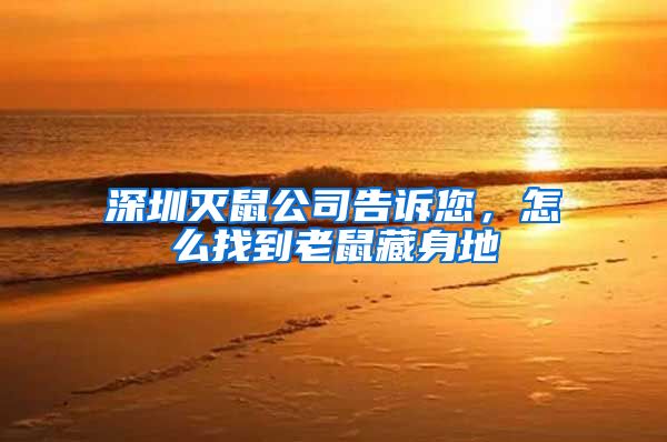 深圳灭鼠公司告诉您，怎么找到老鼠藏身地